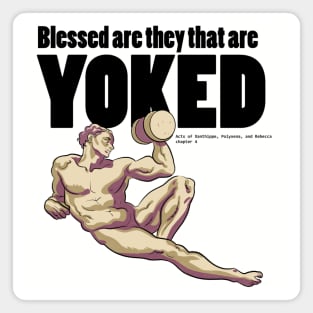 Blessed Are the Yoked Magnet